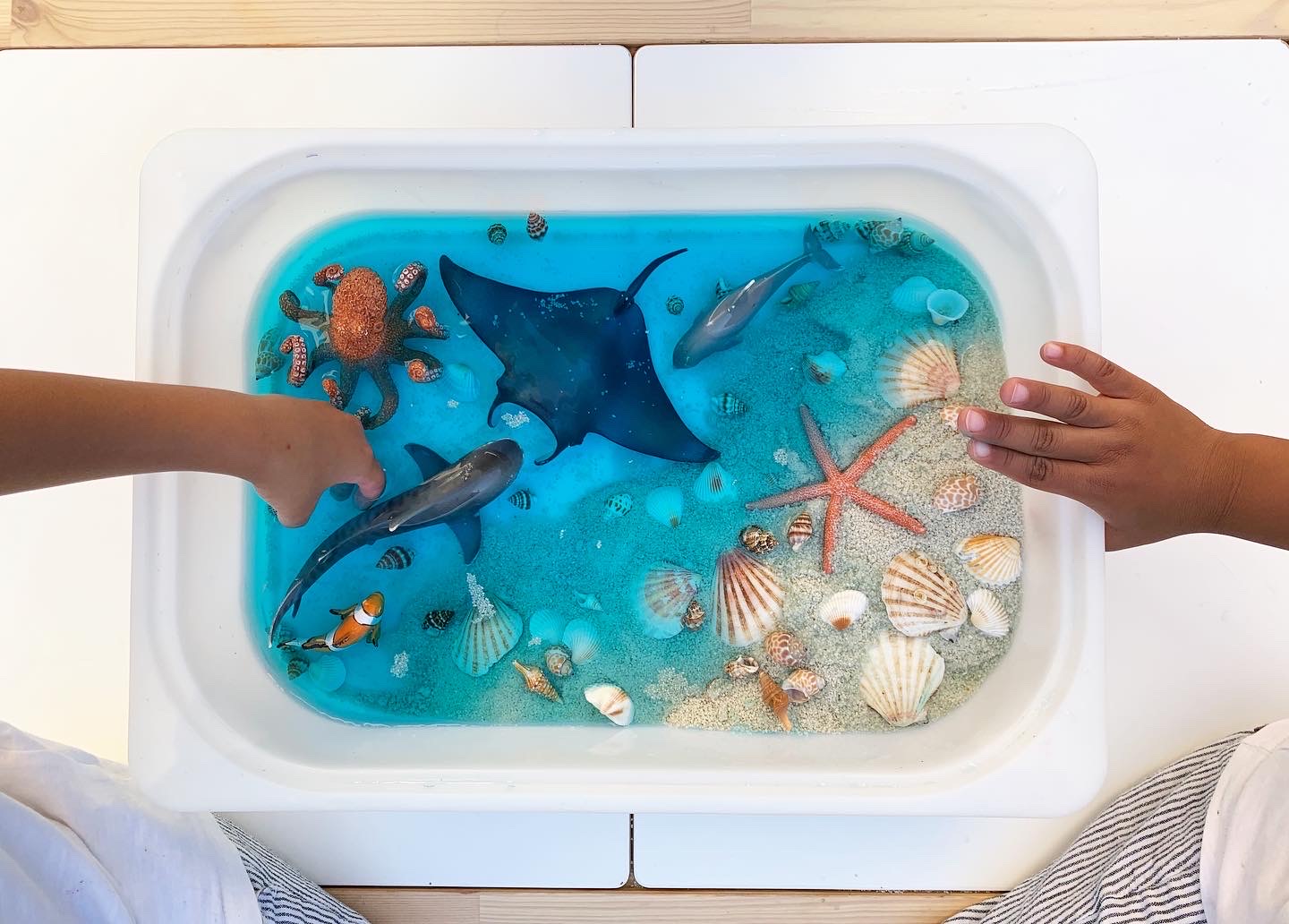 DIY Fabriquer un Bac Sensoriel sur la Mer Les petits culottés