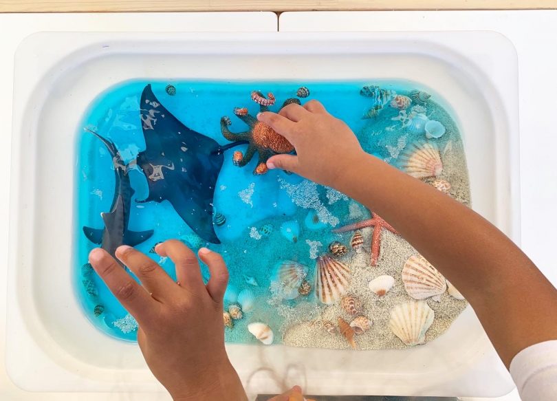 Fabriquer et jouer au bac sensoriel de la mer