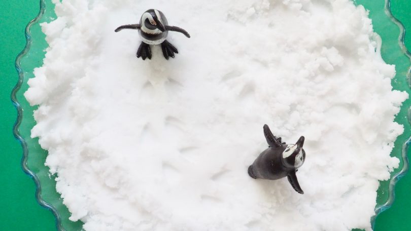 Réaliser des empreintes de pas d'animaux rigolos