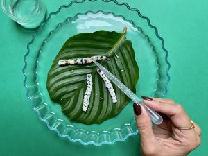 DIY : Fabriquer des Chenilles en papier toilette ! - Les petits culottés