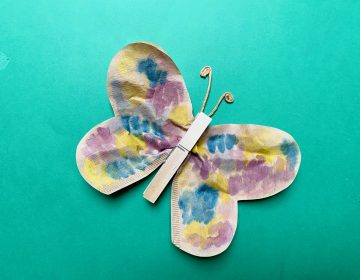 DIY : Fabrique ton Papillon Multicolore