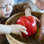 DME Bébé : les principes clés de la méthode