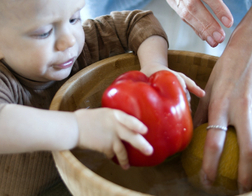 DME Bébé : les principes clés de la méthode