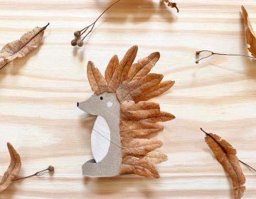 DIY : Fabrique ton hérisson d’automne