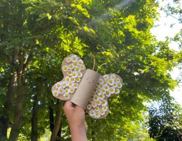 DIY : Fabrique un papillon de motricité