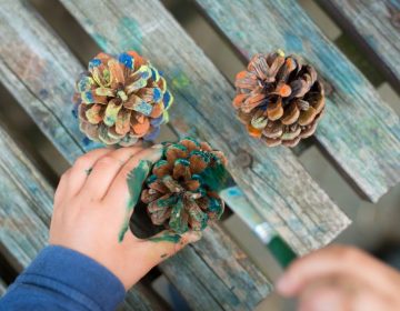 Balades en forêt avec bébé : ramasser des matériaux pour des décorations de Noël DIY